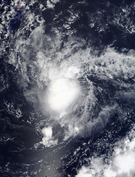 File:Beryl 0500 AT 5262019.png