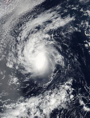 Beryl 1700 AT 5252019.png