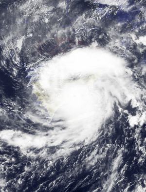 Arlene 0500 AT 5252019.png